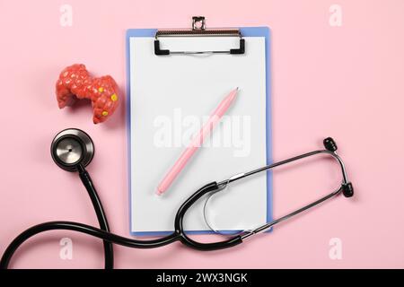 Endokrinologie. Stethoskop, Clipboard, Modell der Schilddrüse und Stift auf rosa Hintergrund, flache Lage Stockfoto