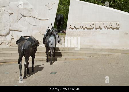 Skulptur von Bronzepferden, Maultiere der Tiere im war Memorial, Hyde Park, London, Großbritannien Stockfoto