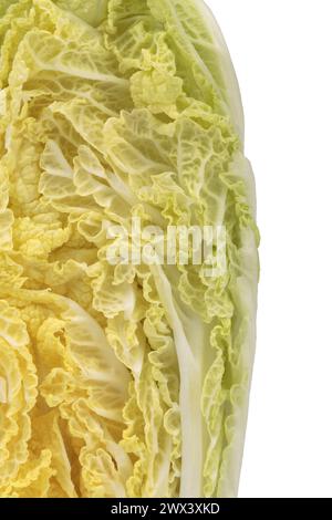 Ein Querschnitt von Napa-Kohl. Sie befindet sich auf einer weißen Oberfläche. Nahaufnahme. Stockfoto