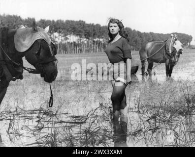 Italienische Schauspielerin SILVANA MANGANO in einer Szene aus BITTER RICE / RISO AMARO 1949 Regisseur GIUSEPPE DE SANTIS Kostümdesign ANNA GOBBI Dino de Laurentiis / LUX Film Stockfoto