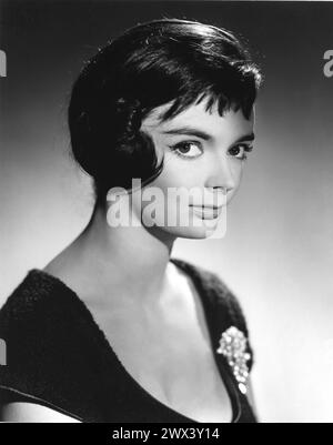 Frühe Publicity Portrait of Cult britische Horrordarstellerin BARBARA STEELE um 1959 zu Beginn ihrer Karriere. Bewerten Sie die Werbung für Filme. Stockfoto