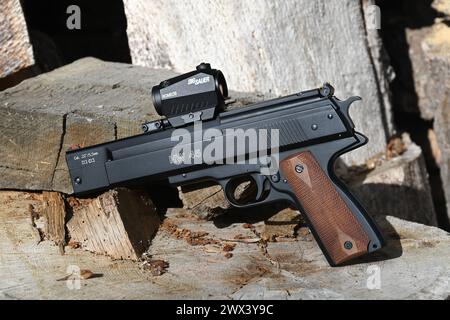 Weihrauch HW 45 mit Sig sauer Red Dot Sight. Stockfoto