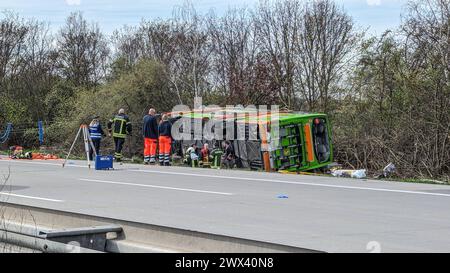 Heute Morgen kam es zu einem schweren Verkehrsunfall auf der Bundesautobahn 9. Ein Reisebus FlixBus, der mit über 50 Insassen besetzt auf dem Weg nach Zürich war, fuhr auf der Bundesautobahn 9 in Richtung München. Kurz vor dem Schkeuditzer Kreuz kam der Bus aus bislang unklarer Ursache nach rechts von der Fahrbahn ab und kippte in der angrenzenden Böschung zur Seite. Durch den Verkehrsunfall werden zahlreiche Insassen des Busses verletzt. Mehrere Personen erlagen ihren schwersten Verletzungen noch an der Unfallstelle. Etwa zwanzig Personen wurden verletzt und müssen zum Teil mit schweren Verl Stockfoto