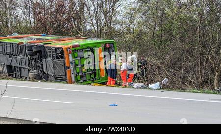 Heute Morgen kam es zu einem schweren Verkehrsunfall auf der Bundesautobahn 9. Ein Reisebus FlixBus, der mit über 50 Insassen besetzt auf dem Weg nach Zürich war, fuhr auf der Bundesautobahn 9 in Richtung München. Kurz vor dem Schkeuditzer Kreuz kam der Bus aus bislang unklarer Ursache nach rechts von der Fahrbahn ab und kippte in der angrenzenden Böschung zur Seite. Durch den Verkehrsunfall werden zahlreiche Insassen des Busses verletzt. Mehrere Personen erlagen ihren schwersten Verletzungen noch an der Unfallstelle. Etwa zwanzig Personen wurden verletzt und müssen zum Teil mit schweren Verl Stockfoto