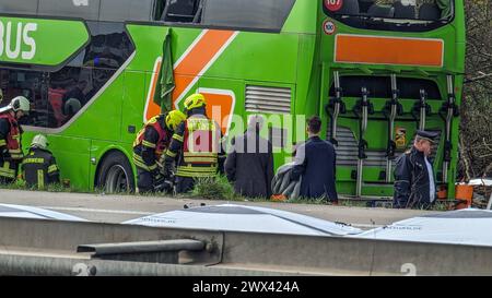 Heute Morgen kam es zu einem schweren Verkehrsunfall auf der Bundesautobahn 9. Ein Reisebus FlixBus, der mit über 50 Insassen besetzt auf dem Weg nach Zürich war, fuhr auf der Bundesautobahn 9 in Richtung München. Kurz vor dem Schkeuditzer Kreuz kam der Bus aus bislang unklarer Ursache nach rechts von der Fahrbahn ab und kippte in der angrenzenden Böschung zur Seite. Durch den Verkehrsunfall werden zahlreiche Insassen des Busses verletzt. Mehrere Personen erlagen ihren schwersten Verletzungen noch an der Unfallstelle. Etwa zwanzig Personen wurden verletzt und müssen zum Teil mit schweren Verl Stockfoto