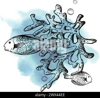 Unterwasser-Welt-Clipart mit Meerestieren fischt Korallen und Blasen. Handgezeichnete Aquarellillustration. Grafische Abbildung, handgezeichnet mit schwarzer Tinte Stock Vektor