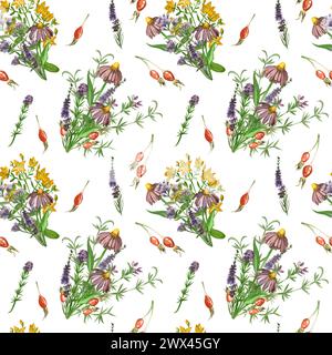 Wiesengräser und Blumen. Nahtloses Muster von Echinacea, Lungenkraut, Hagebutte, Blumensträußen. Alle Elemente sind handbemalt in Aquarell Stockfoto