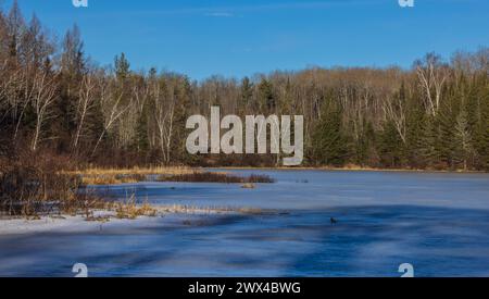 Day Lake an einem Märzmorgen im Norden von Wisconsin. Stockfoto