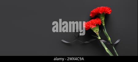 Nelkenblumen und schwarzes Trauerband auf dunklem Hintergrund mit Platz für Text Stockfoto