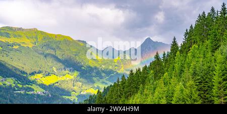 Ein lebhafter Regenbogen durchzieht den Nebel über einem dichten, grünen Wald mit Berggipfeln in der Ferne. Stockfoto