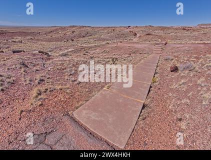 Ein paar Schritte entlang des Giant Logs Trail führt zu einem malerischen Ausblick im Petrified Forest National Park Arizona. Stockfoto