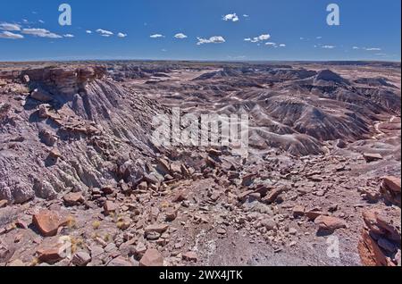 Purple Badlands aus Bentonit nahe Hamilili Point am südlichen Ende des Petrified Forest National Park Arizona. Stockfoto