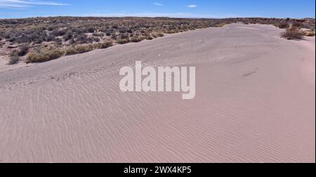 Der trockene Sandbach Jim Camp Wash, der durch den Petrified Forest National Park Arizona fließt. Stockfoto