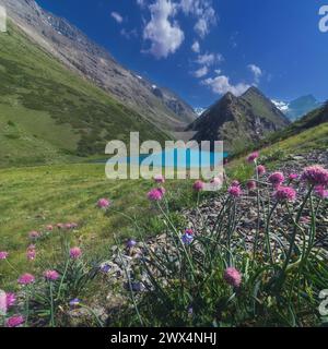 Panoramalandschaft mit blauem See in den Bergen im Sommer. Koksai Ainakol See im Tien Shan Gebirge in Asien in Kasachstan Stockfoto