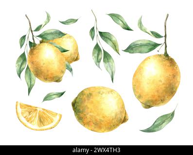Aquarellset mit saftigen Reifen Zitronen und Blättern. Abbildung ist handgezeichnet, geeignet für Menüdesign, Verpackung, Poster, Website, Textil, Einladung Stockfoto