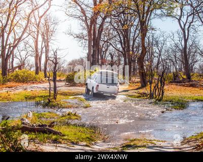 Ein Safari-Fahrzeug überquert einen seichten Fluss inmitten der sonnenverwöhnten Landschaft des Moremi Game Reserve und navigiert durch die Wildnis. Botswana, Afrika Stockfoto