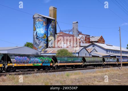 Murtoa: Silo-Kunst der Vögel von Smug (Sam Bates) und Zugwagen mit Graffiti in Murtoa Stockfoto