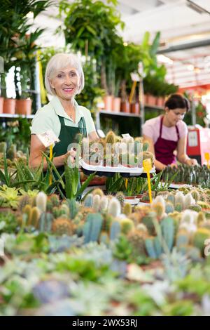 Alte Verkäuferin, die Kaktus in Blumentöpfen hält, auf dem offenen Pflanzenmarkt Stockfoto