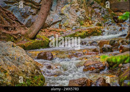 Ein Gebirgsbach mit üppigem grünem Moos auf Felsen und Wasserkaskaden Stockfoto