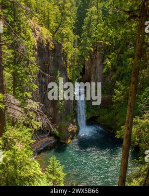 Oregons Toketee Falls am North Umpqua River Stockfoto