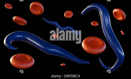 3D-Darstellung der mit Plasmodium falciparum infizierten roten Blutkörperchen Stockfoto