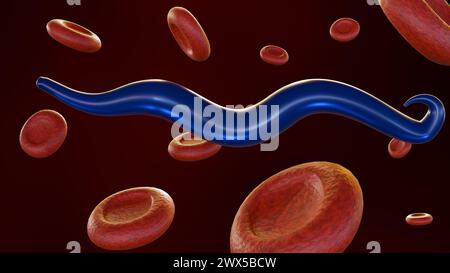 3D-Darstellung der mit Plasmodium falciparum infizierten roten Blutkörperchen Stockfoto