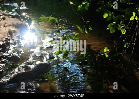 Wunderschöner Blick auf einen flachen Bach, Blendung und Reflexion durch Sonnenlicht Stockfoto