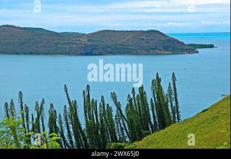 Küste, Schildkrötenbucht, Basse Terre, Neukaledonien Stockfoto