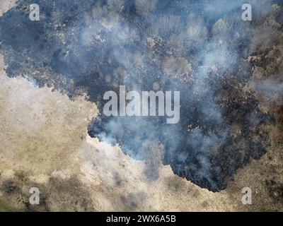 Brennendes Feld. Wildfeuer in den Bergen. Waldbrand. Stockfoto