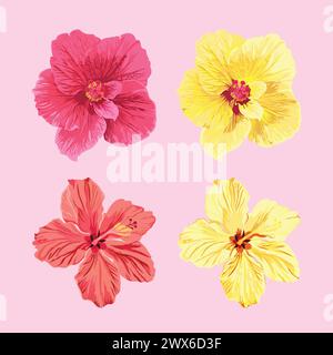 Vektorsatz von jamaika Blumen. Vier verschiedene Arten von jamaika-Blüten in Rosa und Gelb. Stock Vektor