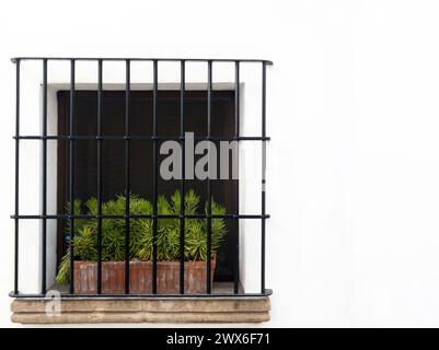 Fenster mit eisernem Geländer an weißer Wand in Javea, Spanien bei hellem Mittagslicht. Kopierbereich. Stockfoto