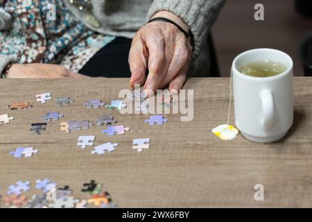 Die Hände der Seniorin machen ein Puzzle Stockfoto