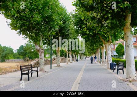 Von Bäumen gesäumte Fußgängerzone Paseo del Monasterio Real Aguilar de Campoo Palencia Castile und Leon Spanien Stockfoto