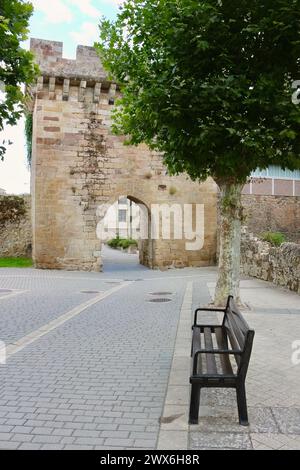 Das aus Stein gegossene Tor La Puerta del Paseo Real Aguilar de Campoo Palencia Castile und Leon Spanien Stockfoto