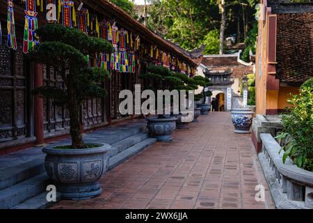 Der Thien Tru Tempel in der Nähe der Parfümpagode, Vietnam, von Hanoi Stockfoto