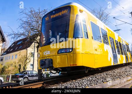 Zahnradbahn der Stuttgarter Straßenbahnen AG SSB. Im Volksmund wird die Bahn Zacke genannt, sie gilt als ein Stuttgarter Wahrzeichen. // Stuttgart, Baden-Württemberg, Deutschland, 26.03.2024 *** Zahnradbahn der Stuttgarter Straßenbahnen AG SSB im Volksmund Zacke bekannt, ist sie ein Stuttgarter Wahrzeichen Stuttgart, Baden Württemberg, Deutschland, 26 03 2024 Stockfoto