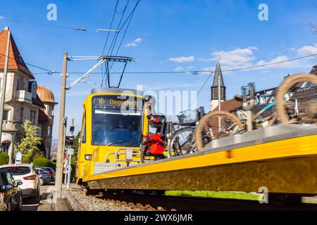 Zahnradbahn der Stuttgarter Straßenbahnen AG SSB. Im Volksmund wird die Bahn Zacke genannt, sie gilt als ein Stuttgarter Wahrzeichen. // Stuttgart, Baden-Württemberg, Deutschland, 26.03.2024 *** Zahnradbahn der Stuttgarter Straßenbahnen AG SSB im Volksmund Zacke bekannt, ist sie ein Stuttgarter Wahrzeichen Stuttgart, Baden Württemberg, Deutschland, 26 03 2024 Stockfoto