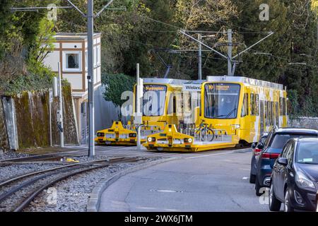 Zahnradbahn der Stuttgarter Straßenbahnen AG SSB. Im Volksmund wird die Bahn Zacke genannt, sie gilt als ein Stuttgarter Wahrzeichen. // Stuttgart, Baden-Württemberg, Deutschland, 26.03.2024 *** Zahnradbahn der Stuttgarter Straßenbahnen AG SSB im Volksmund Zacke bekannt, ist sie ein Stuttgarter Wahrzeichen Stuttgart, Baden Württemberg, Deutschland, 26 03 2024 Stockfoto