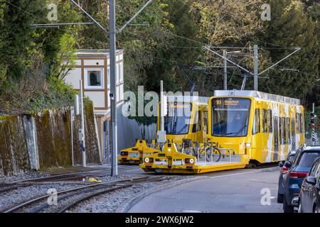 Zahnradbahn der Stuttgarter Straßenbahnen AG SSB. Im Volksmund wird die Bahn Zacke genannt, sie gilt als ein Stuttgarter Wahrzeichen. // Stuttgart, Baden-Württemberg, Deutschland, 26.03.2024 *** Zahnradbahn der Stuttgarter Straßenbahnen AG SSB im Volksmund Zacke bekannt, ist sie ein Stuttgarter Wahrzeichen Stuttgart, Baden Württemberg, Deutschland, 26 03 2024 Stockfoto