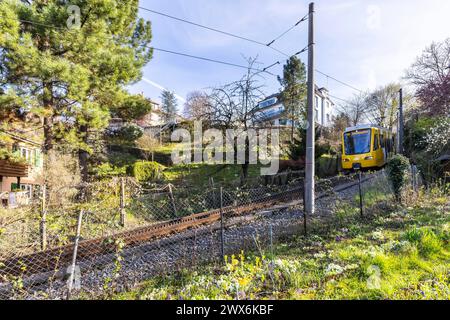 Zahnradbahn der Stuttgarter Straßenbahnen AG SSB. Im Volksmund wird die Bahn Zacke genannt, sie gilt als ein Stuttgarter Wahrzeichen. // Stuttgart, Baden-Württemberg, Deutschland, 26.03.2024 *** Zahnradbahn der Stuttgarter Straßenbahnen AG SSB im Volksmund Zacke bekannt, ist sie ein Stuttgarter Wahrzeichen Stuttgart, Baden Württemberg, Deutschland, 26 03 2024 Stockfoto