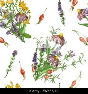 Wiesengräser und Blumen. Nahtloses Muster von Echinacea, Lungenkraut, Hagebutte, Blumensträußen. Alle Elemente sind handbemalt in Aquarell Stockfoto