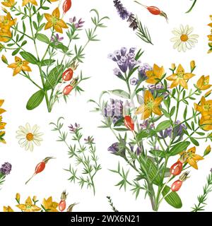 Wiesengräser und Blumen. Nahtloses Muster von Echinacea, Lungenkraut, Oregano und Hypericaceae. Alle Elemente sind handbemalt in Aquarell Stockfoto
