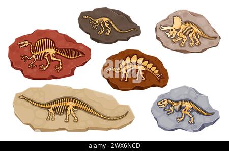 Fossile Dinosaurier-Knochen in Steinen oder Dino-Skelett-Abdrücke, Cartoon-Vektor. Archäologische Fossiliensteine mit Abdrücken jurassischer Dinosaurierknochen und Dino-Reptilien von T-rex tyrannosaurus und Brachiosaurus Stock Vektor