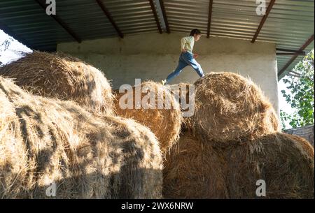 Junge, der auf einem Haufen Heu spielt Stockfoto