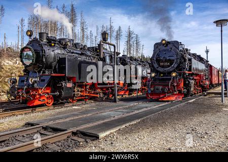 Wernigerode, Deutschland 27. März 2024: Sonderfahrt der Harzer Schmalspurbahn zum Jahrestag der Betriebsaufnahme am 27.03.1899. Im Bild: Im Bahnhof Schierke wird der Sonderzug von 99 234 mit dem Planzug überholt. Sachsen-Anhalt *** Wernigerode, Deutschland 27 März 2024 Sonderfahrt der Harzer Schmalspurbahn zum Jahrestag der Betriebsaufnahme am 27 03 1899 im Bild im Bahnhof Schierke wird der Sonderzug bis 99 234 mit dem Linienzug Sachsen-Anhalt überholt Copyright: XFotostandx/xReissx Stockfoto