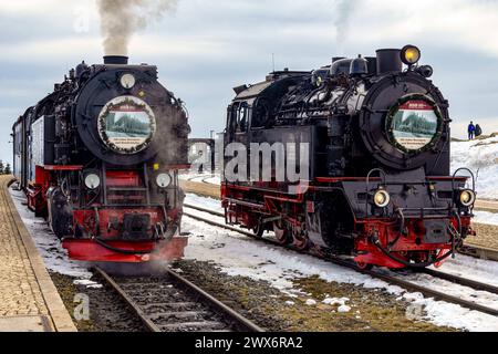 Wernigerode, Deutschland 27. März 2024: Sonderfahrt der Harzer Schmalspurbahn zum Jahrestag der Betriebsaufnahme am 27.03.1899. Im Bild: 99 222 und 99 6001 nebeneinander im Bahnhof Brocken bei Schnee. Sachsen-Anhalt *** Wernigerode, Deutschland 27 März 2024 Sonderfahrt der Harzer Schmalspurbahn zum Jahrestag der Betriebsaufnahme am 27 03 1899 im Bild 99 222 und 99 6001 nebeneinander im Bahnhof Brocken bei Schnee Sachsen-Anhalt Copyright: XFotostandx/xReissx Stockfoto