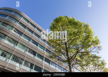 Blick auf die verglasten Fassaden von Gebäuden in Spinningfields, Manchester Stockfoto