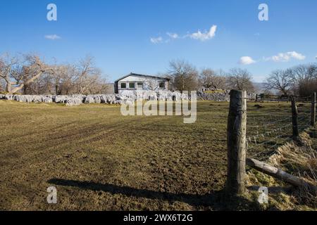 Ein Bauernfeld in Yorkshire, Großbritannien, mit Holzpfosten und Drahtzaun im Vordergrund und einem Außenzentrum auf einem Kalksteinpflaster im Hintergrund Stockfoto