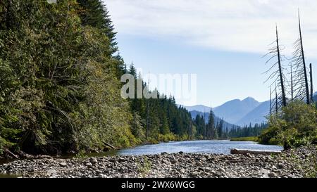 Blick auf ein abgelegenes Flussbett von einer Kiesbar auf die fernen Berge. Große Bäume am Flussbett. Stockfoto