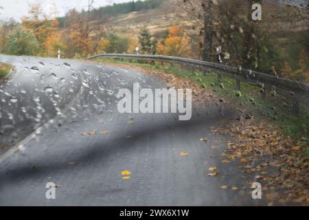 Straße bedeckt mit Herbstlaub im Regen, fotografiert durch eine Windschutzscheibe. Der Scheibenwischer ist unscharf. Stockfoto